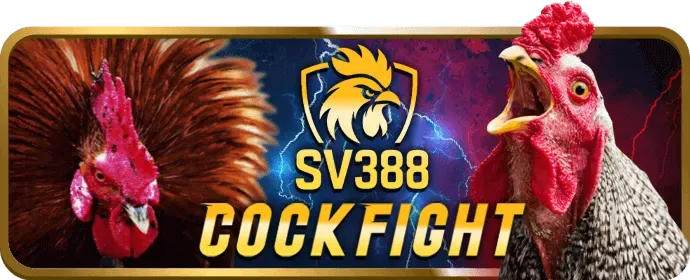 Bước 1: Đăng ký tài khoản One88